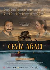 CEVİZ AĞACI